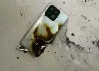 Adolescente sobrevive a ataque de urso após celular explodir quando era mordido nas nádegas