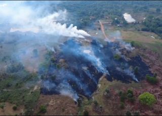 Operação Tamoiotatá prende homem por provocar incêndio em área de vegetação no Careiro, Região Metropolitana de Manaus. VEJA VÍDEO