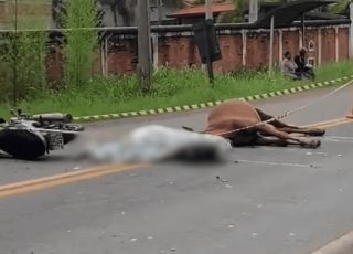 Mulher morre após bater moto contra cavalo; capacete teria causado asfixia em São Paulo