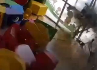 Câmeras registram queda de avião agrícola que destruiu parede de creche em Mato Grosso. VEJA VÍDEO