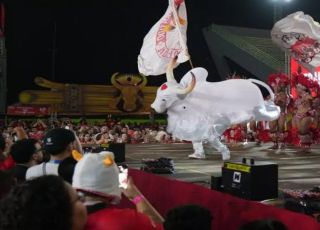 Evento neste sábado (31) terá estreia oficial das novas representantes do bumbá em Manaus, além de apresentações de itens oficiais e nomes tradicionais das toadas.