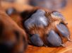 Patas dos cães escondem estruturas que ajudam no movimento e na proteção