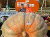 Abóbora gigante de 1.432 kg é colhida nos EUA e pode bater recorde mundial
